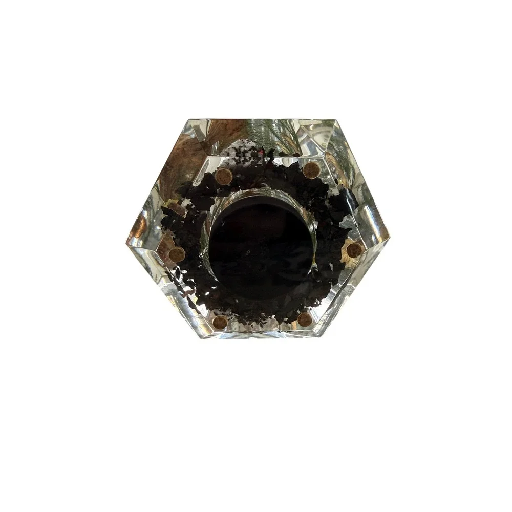 Vintage Lucite Resin Butterfly Botanical Hexagon Vase Dried Flower Paperweight